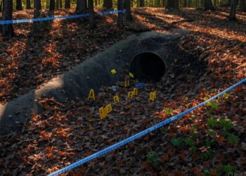 Justice for Rachel Morin: A Murder Case Fueling America’s Immigration Divide