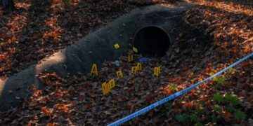 Justice for Rachel Morin: A Murder Case Fueling America’s Immigration Divide