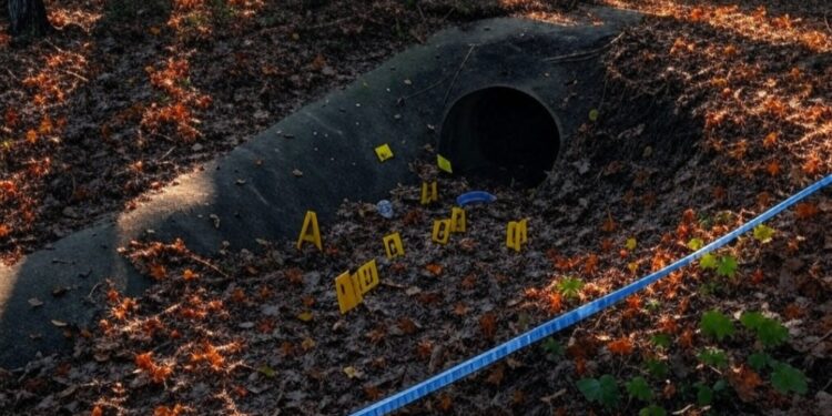 Justice for Rachel Morin: A Murder Case Fueling America’s Immigration Divide