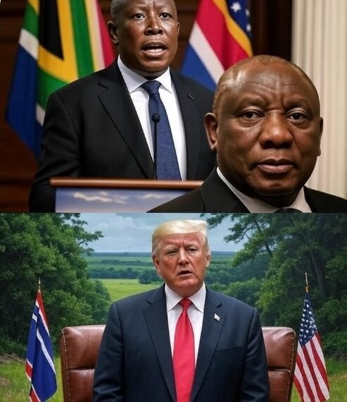 Malema Fires Back: EFF Leader Slams Trump’s ‘White Genocide’ Ambush as Ramaphosa Faces Oval Office Showdown