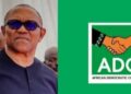 SHAKING THE TABLE: Peter Obi’s ADC Declaration Redefines the Road to 2027