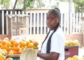 THE FRONTLINE ENTREPRENEURS BEYOND THE BASKET:The High-Stakes Economy of Masha’s Sidewalks